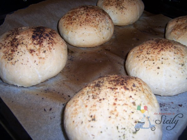 pagnotte italian bread